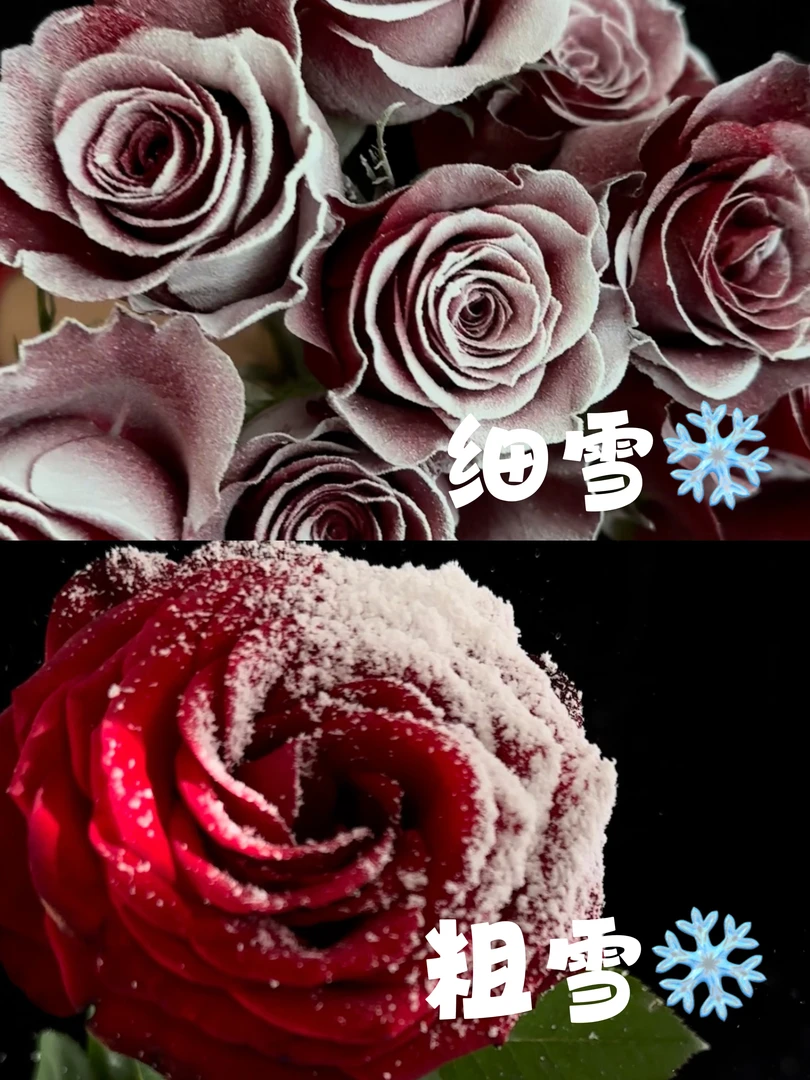 雪花！花店必备喷雪 （不融化）粗雪6瓶✖280ml；细雪6瓶✖280ml；各3瓶