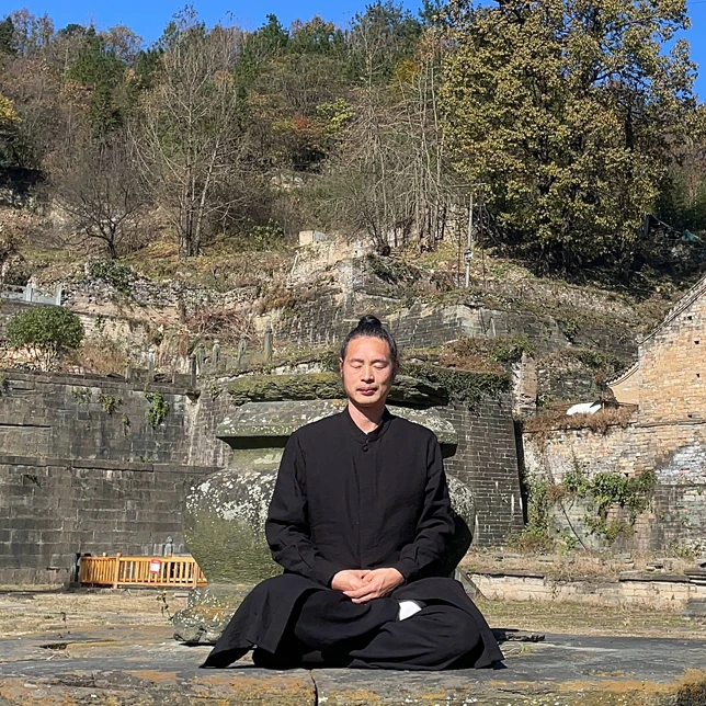 武当武术太极拳内丹功夫，桩功，无极居家静、动桩功逐招详解教学