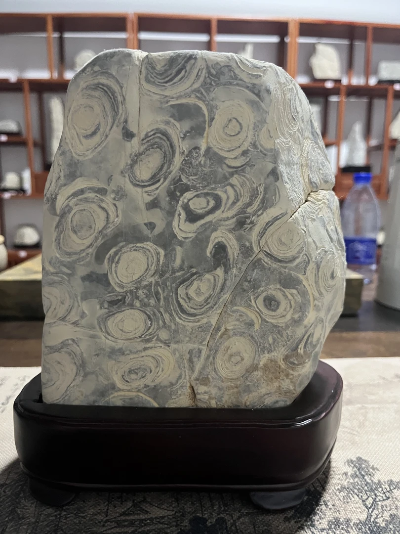 金钱石 仅供直播间拍链接使用