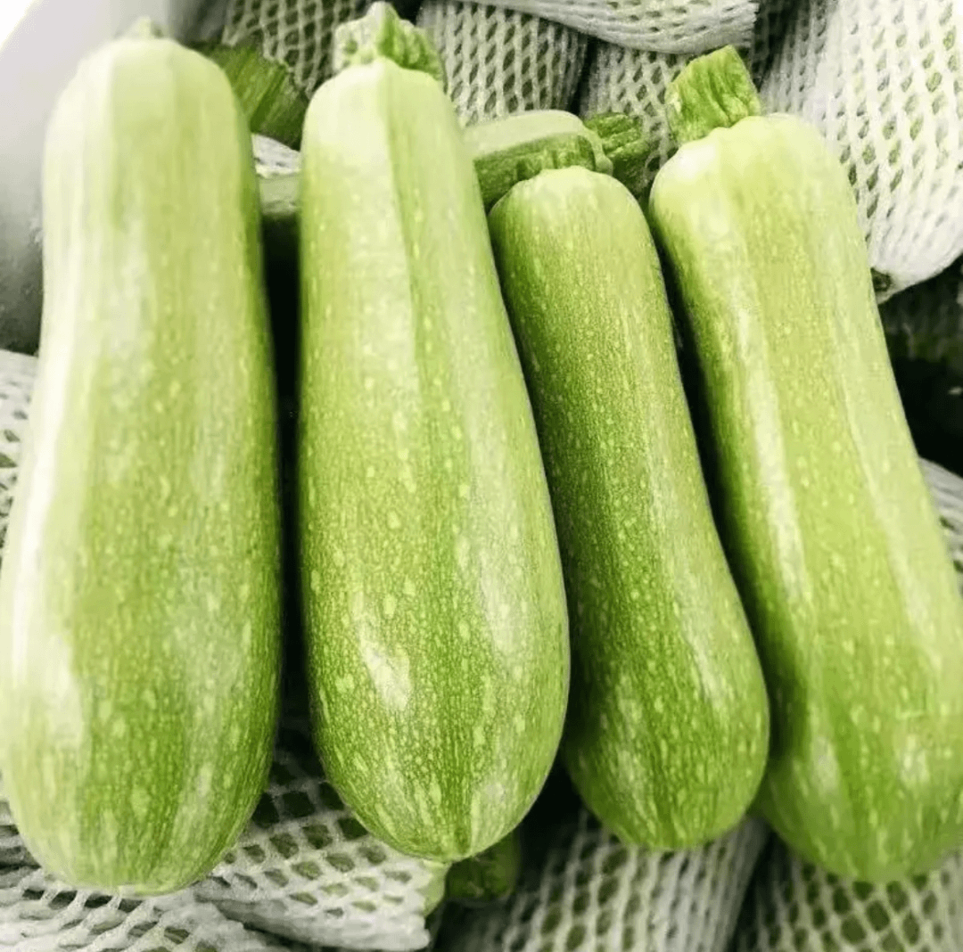 云南新鲜西葫芦9斤坏包赔茭瓜100g新鲜现摘发货角瓜菜瓜北瓜蔬菜
