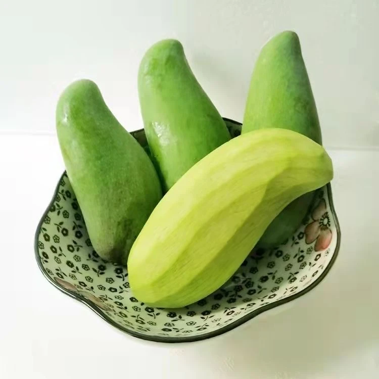 生芒果生吃青芒果现摘现发新鲜酸脆广西酸嘢海南象牙芒鲜美多汁
