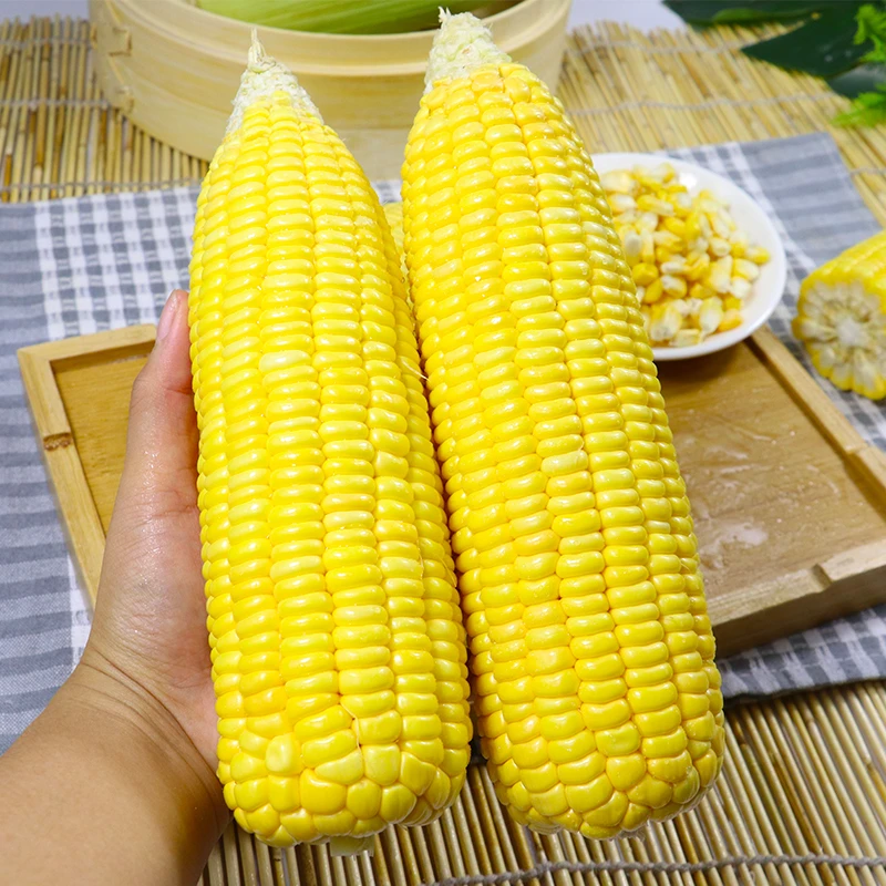 水果玉米生吃嫩苞谷即食玉米棒子金黄美味新鲜爆浆甜玉米1斤-9斤
