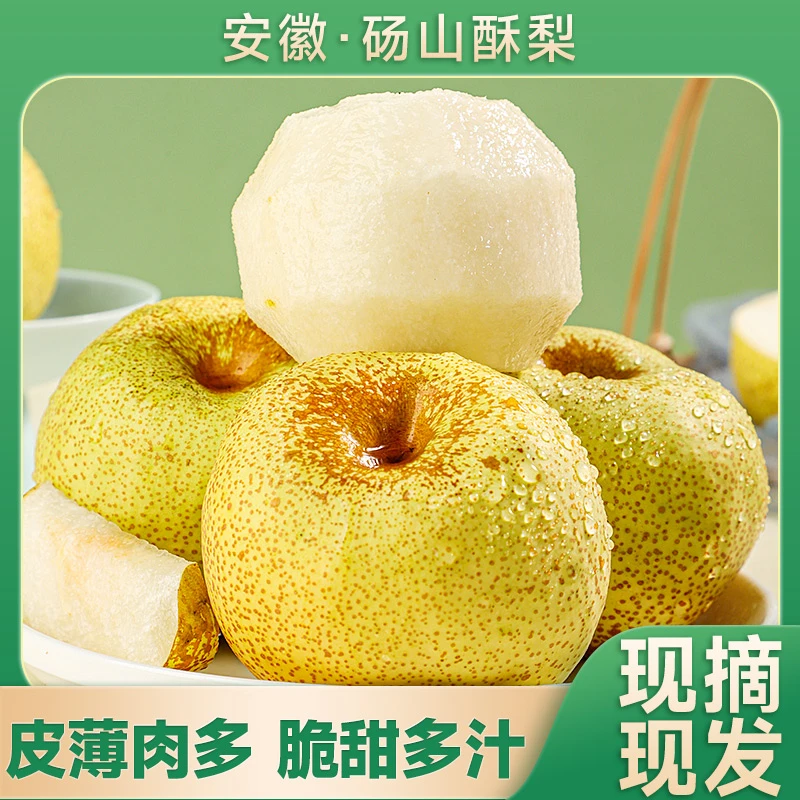 砀山酥梨新鲜水果皮薄多汁现摘现发