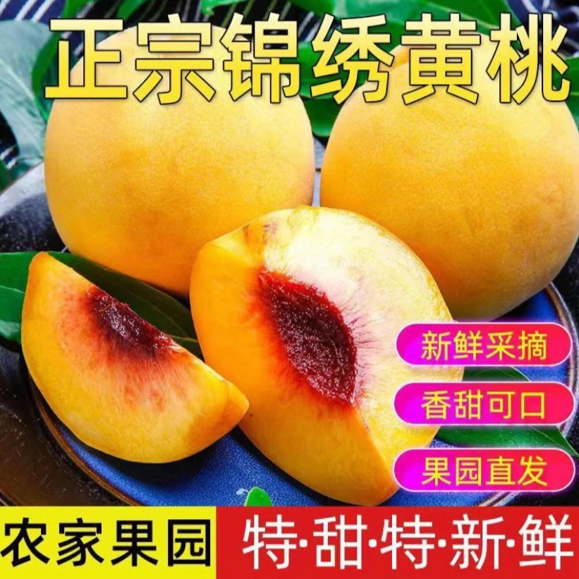 【顺丰快递，明天结束】锦绣黄桃现摘现发硬吃脆甜爽口软吃爆甜多汁
