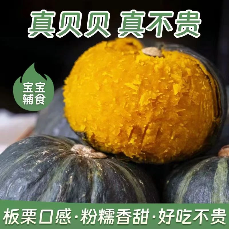 正宗贝贝南瓜真贝贝粉糯香甜板栗味代餐辅食坏果包赔