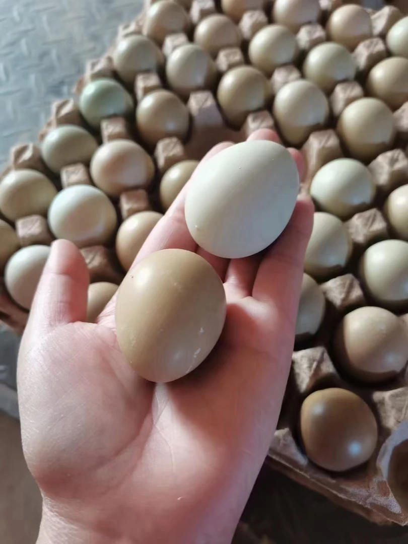 农家散养溜达鸡蛋纯粮喂养粉绿壳蛋混装京东包邮到家只发当天产蛋