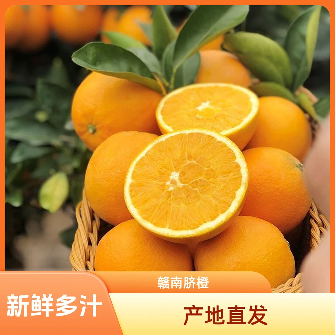赣南脐橙新鲜橙子香甜多汁现摘现发5-10斤产地果园直发