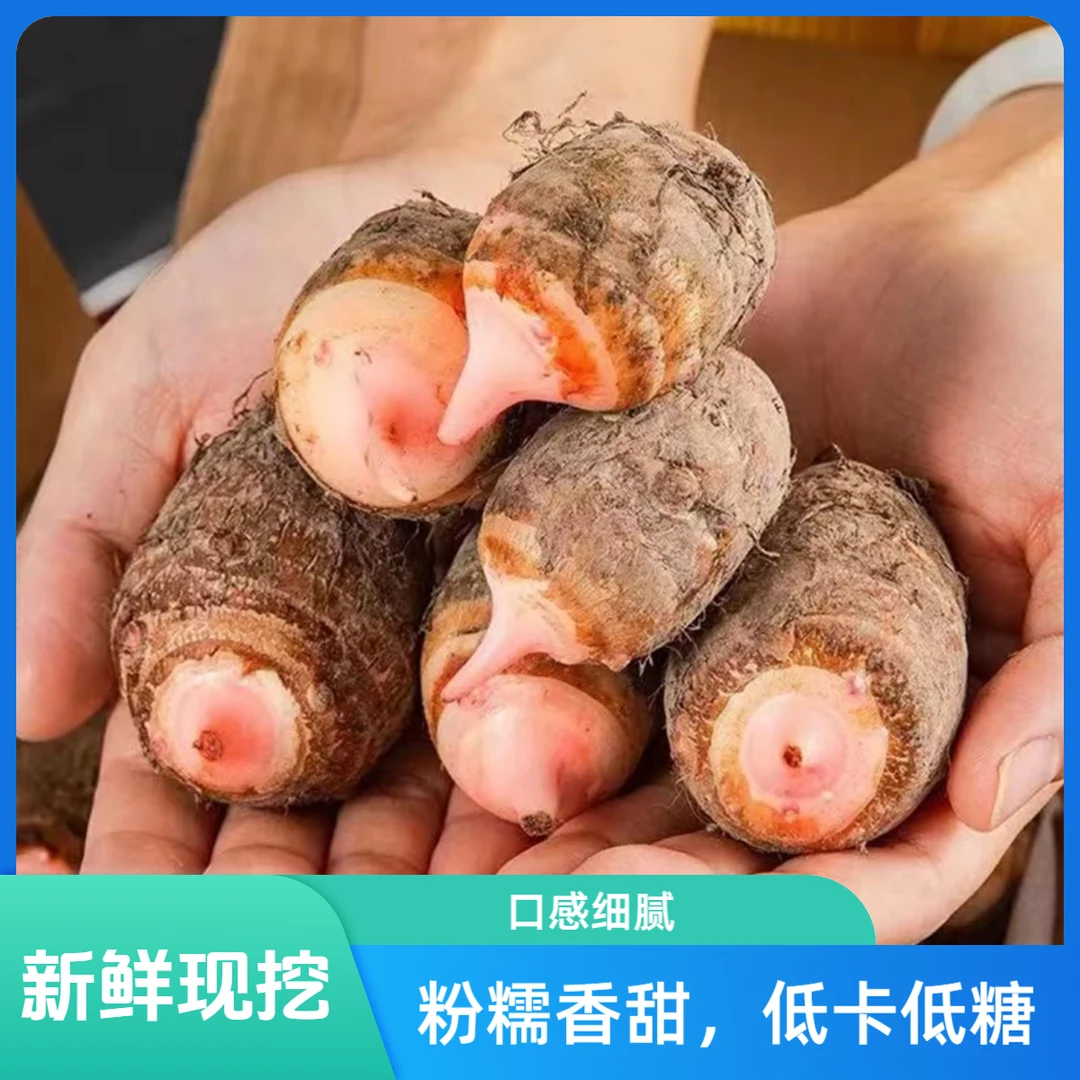 红芽芋头新鲜芋艿江西牛奶芋头农家现挖粉糯毛芋3/5斤细腻