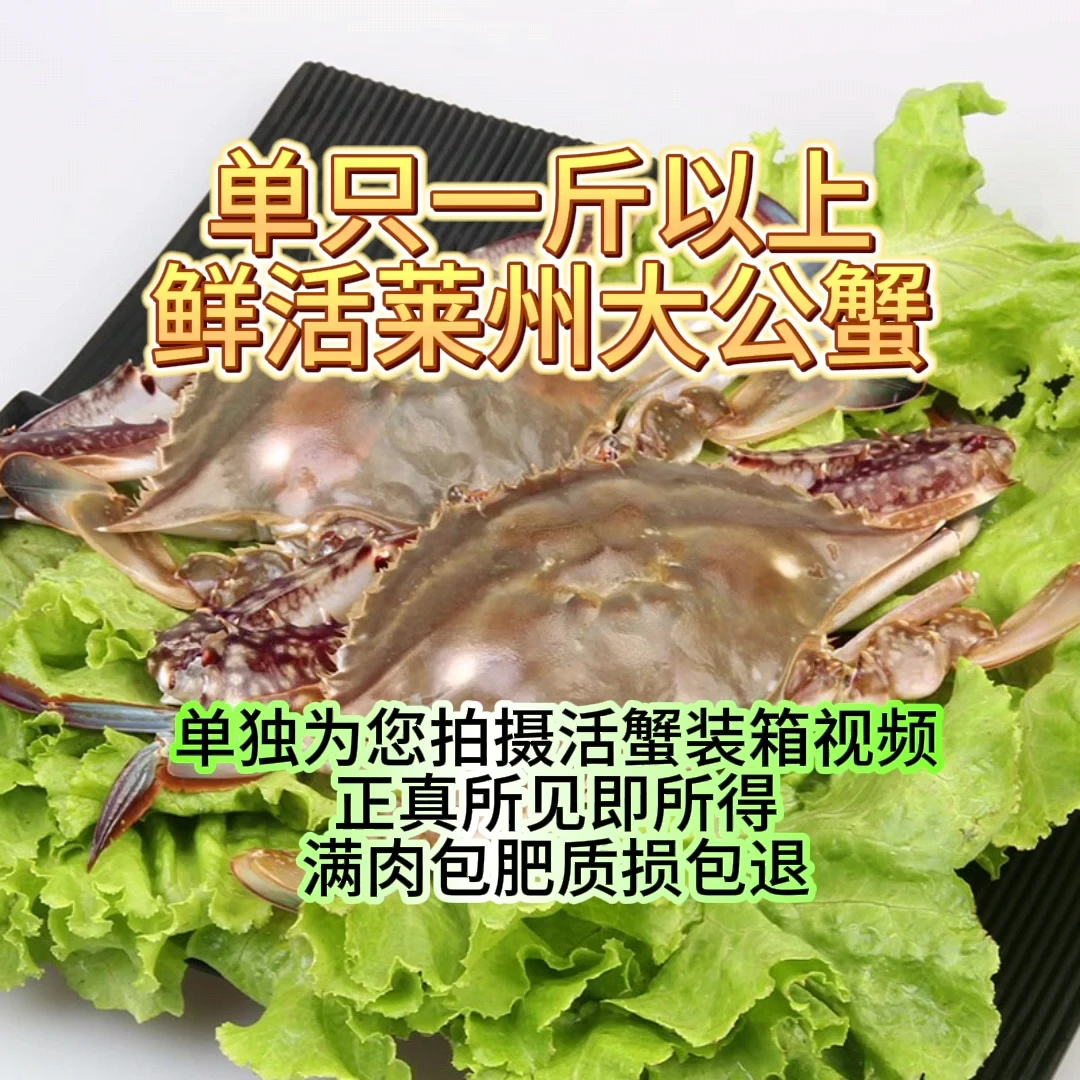 海捕莱州大公蟹(单只一斤以上)【保鲜不保活】总重斤两只数可选