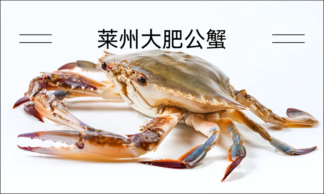 鲜活海捕莱州大公蟹（6两以上）满肉包肥活蟹装箱保鲜不包活