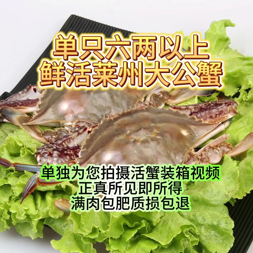 海捕莱州大公蟹（6两以上）【保鲜不保活】总重斤只数可选