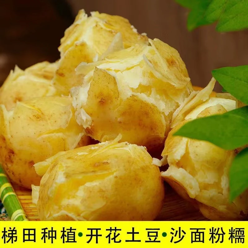 贵州新鲜土豆马铃薯威宁黄皮黄心洋芋新鲜蔬菜红皮黄心新土豆5斤