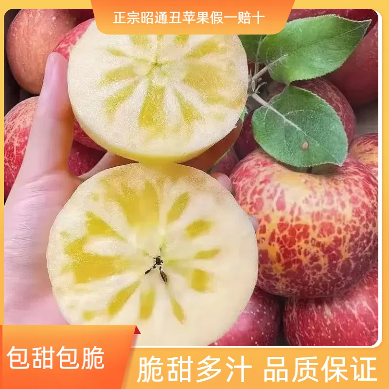 正宗昭通苹果冰糖心脆甜自然丑苹果原产地新鲜现摘整箱原产地发货