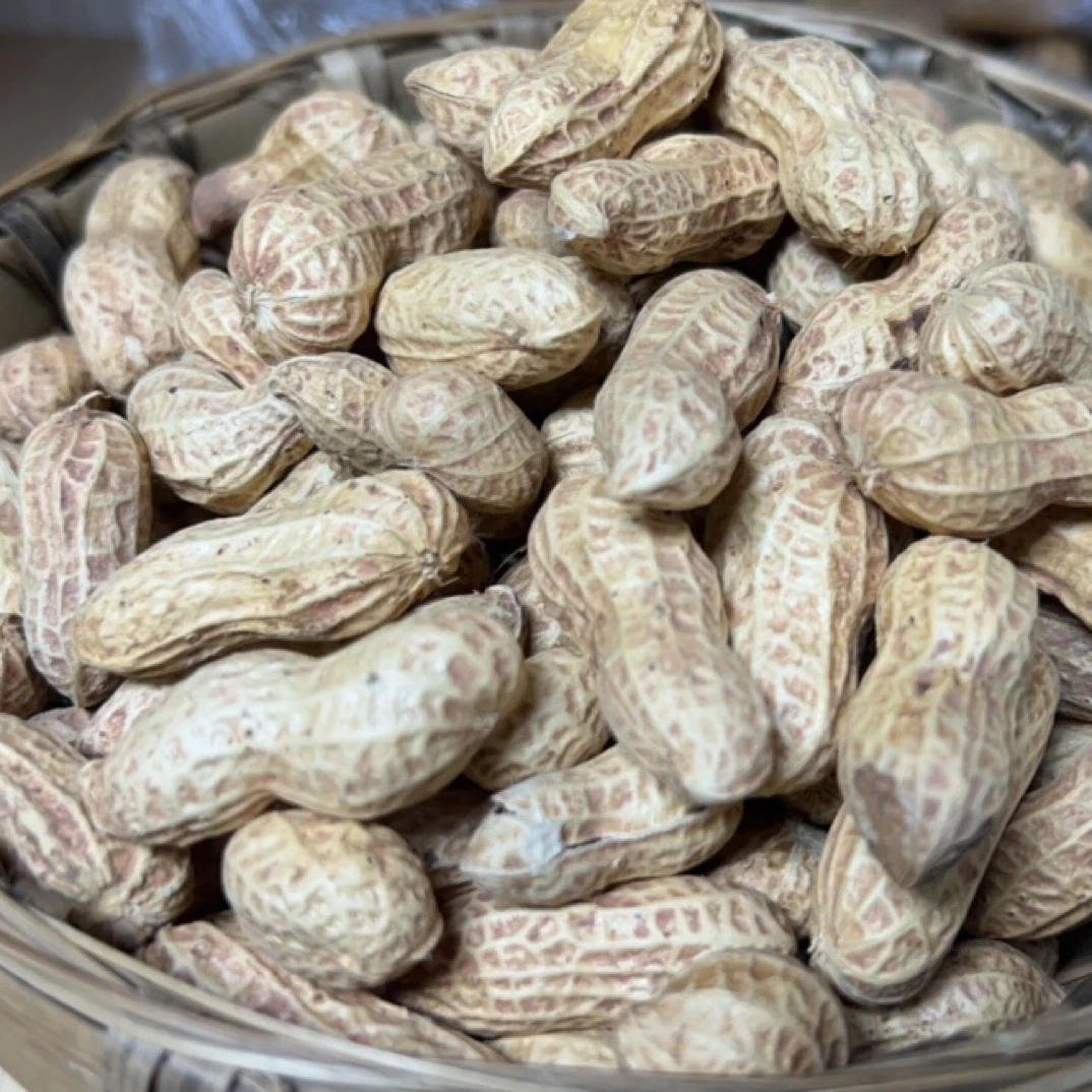 【村书记助农专属】农家花生