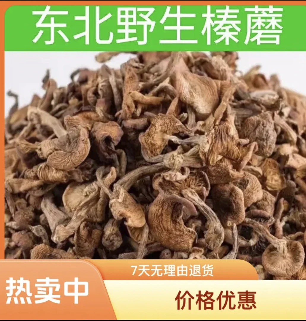 2025 野生榛蘑 自然晾晒 小鸡炖蘑菇 250克/500克