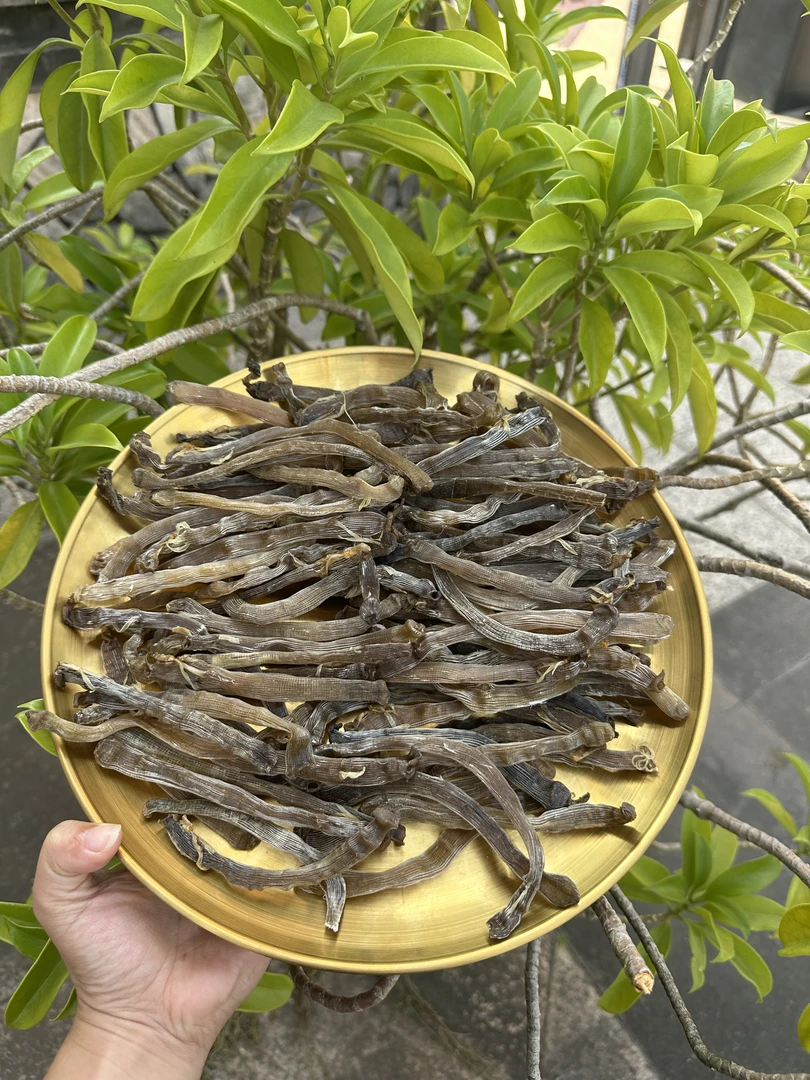 深海原生态沙虫干