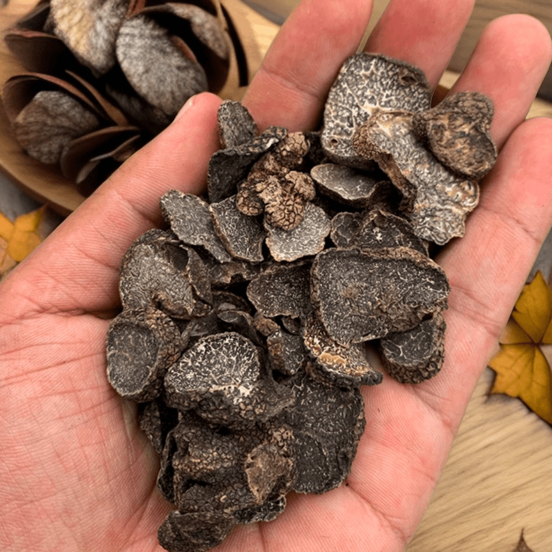 云南猪拱菌黑松露