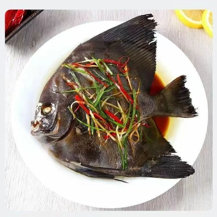 2深海特大黑虎鲳燕子鲳1.5斤/条 无刺营养活冻锁鲜空运包邮