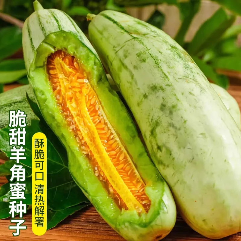 【超甜羊角蜜种子】甜瓜种子大全春季四季播阳台盆栽水果种孑甜脆