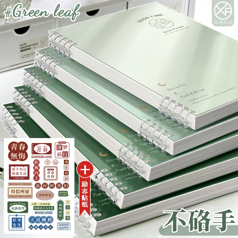 春日系列活页本+贴纸可拆卸笔记本本子B5线圈本大学生记事本加厚