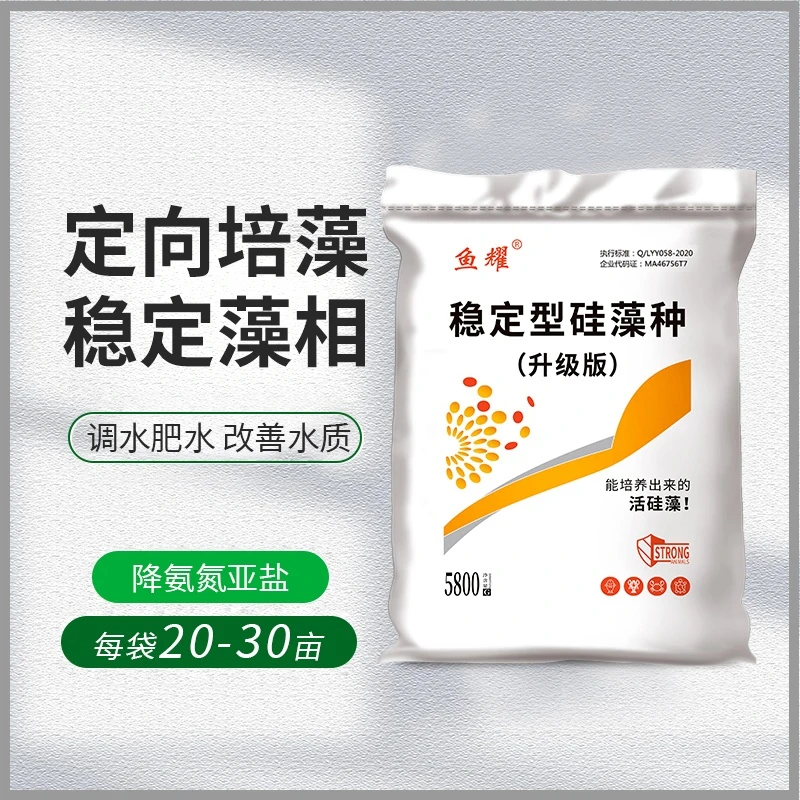 鱼耀定向培养稳定硅藻种小球藻绿藻天然饵料肥水肥鱼优质养殖必备