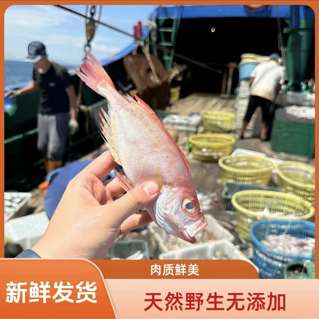 福建渔民海捕野生红目鲢大眼鱼剥皮鱼海莲鱼3斤顺丰冷链发货鲜鱼