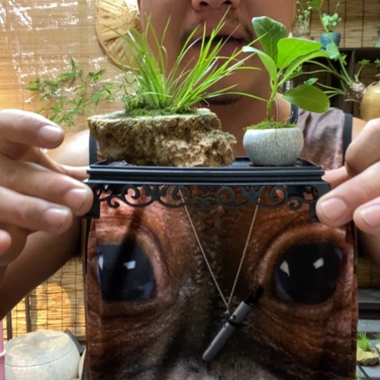 【闪购商品】00000165165