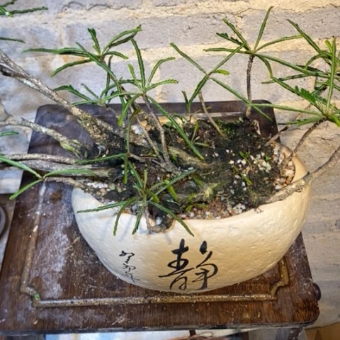 【闪购商品】泡****活0000000055