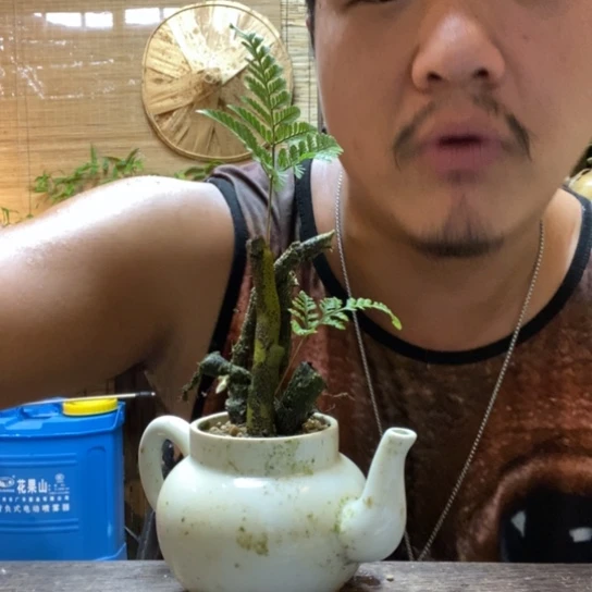 【闪购商品】00000141
