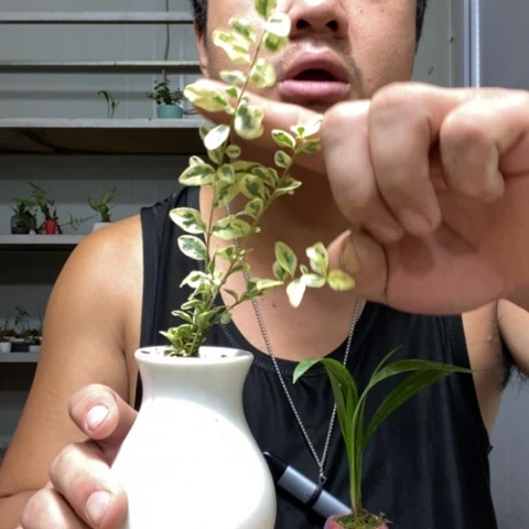 【闪购商品】00000013