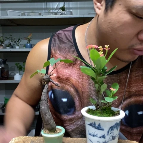 【闪购商品】00000159