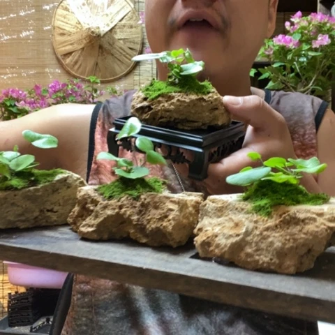 【闪购商品】红陶20CM以下四方吸水石爱心一个