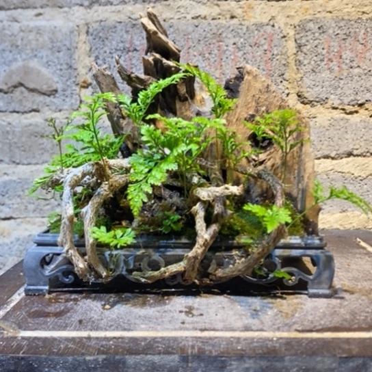 【闪购商品】00087