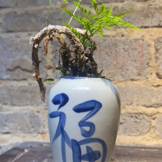 【闪购商品】000031