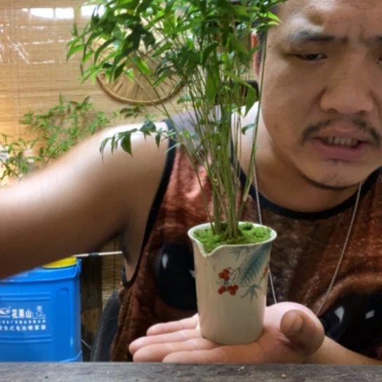 【闪购商品】00000137