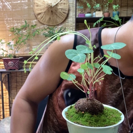 【闪购商品】00000161