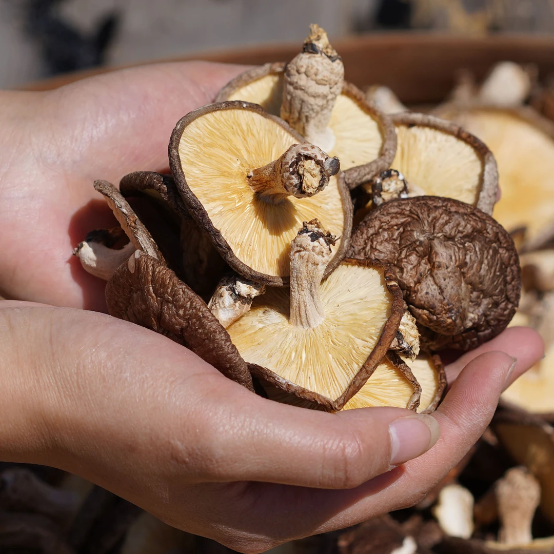 庆元高山香菇头茬农家带脚香菇100g-500g