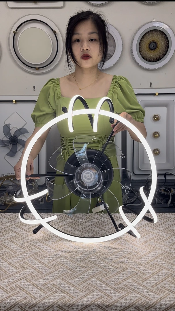 个性创意吸顶风扇灯静音卧室餐厅遥控电风扇北欧吊扇灯现代简约