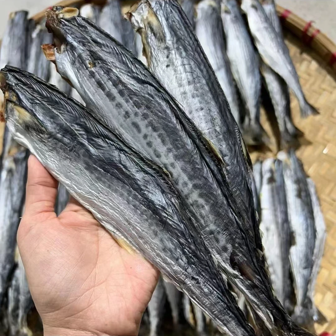 台山特产 马鲛鱼 海产干货