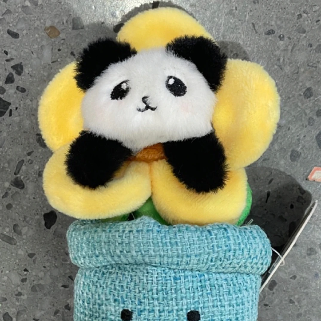 花花家园/盆栽挂件 向阳而生