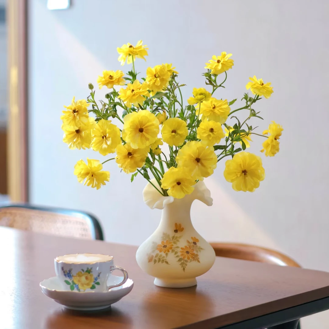 【花和优品】奶油黄色蝴蝶洋牡丹推荐拍2扎插瓶效果更好哦