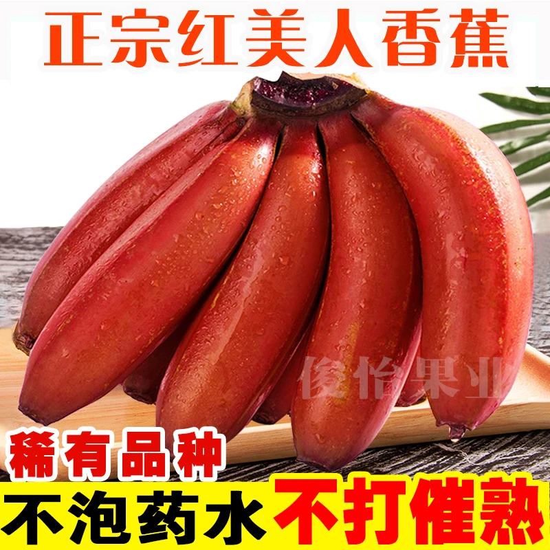 【稀有品种】正宗红美人香蕉广西红皮香蕉甜糯咖啡蕉火龙蕉2/5/10斤