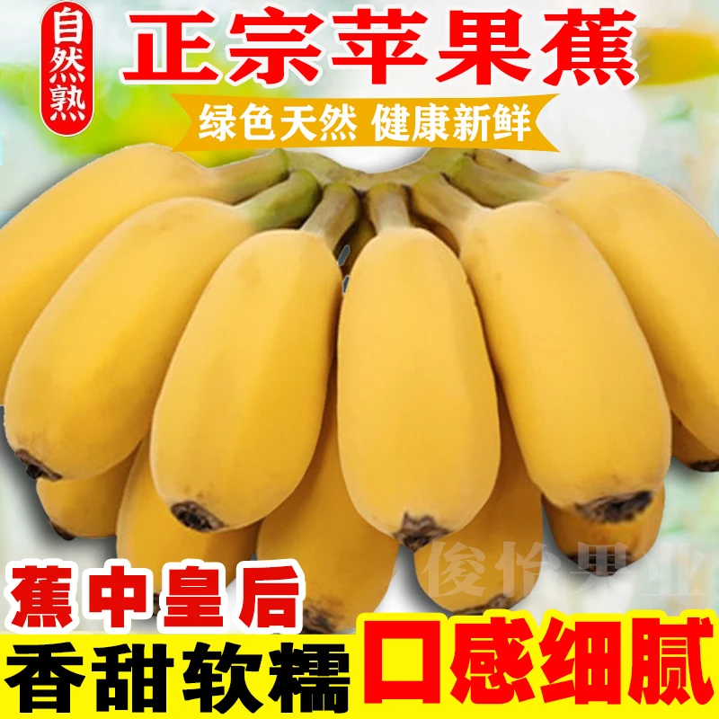 【点关注立减】广西苹果蕉巴马寿乡自然熟新鲜水果粉蕉直播1/5/10斤