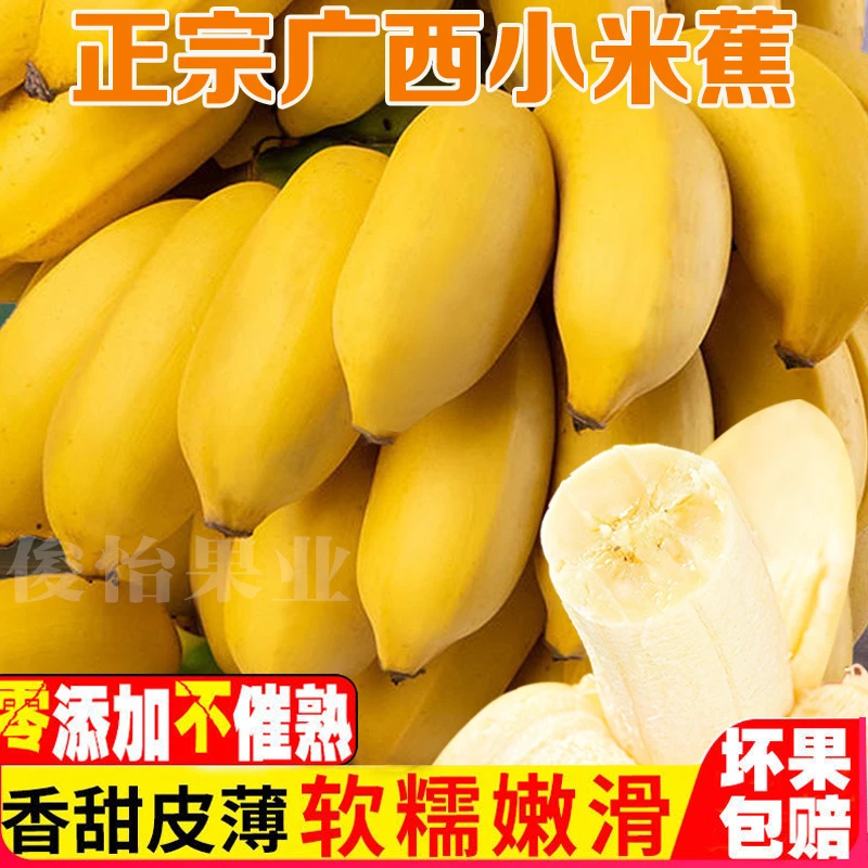 【粉丝福利G】广西香甜小米蕉产地直发自然熟1/5/10斤当季新鲜水果