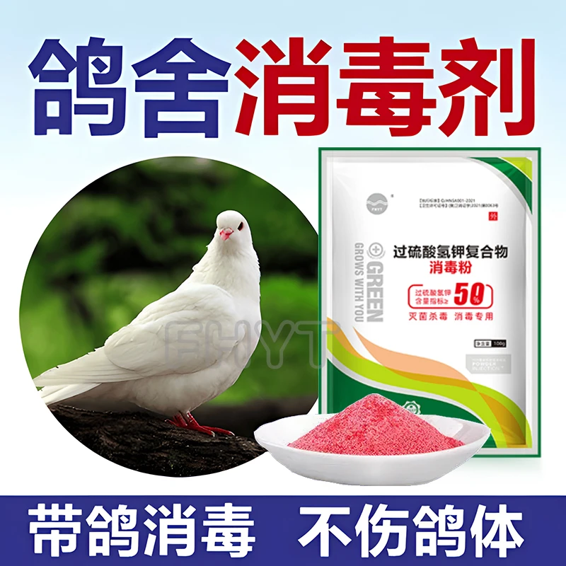 鸽用鸽舍消毒剂鸽笼鸽场消毒液鸽子鸽棚消毒水鸟禽养殖专用消毒液