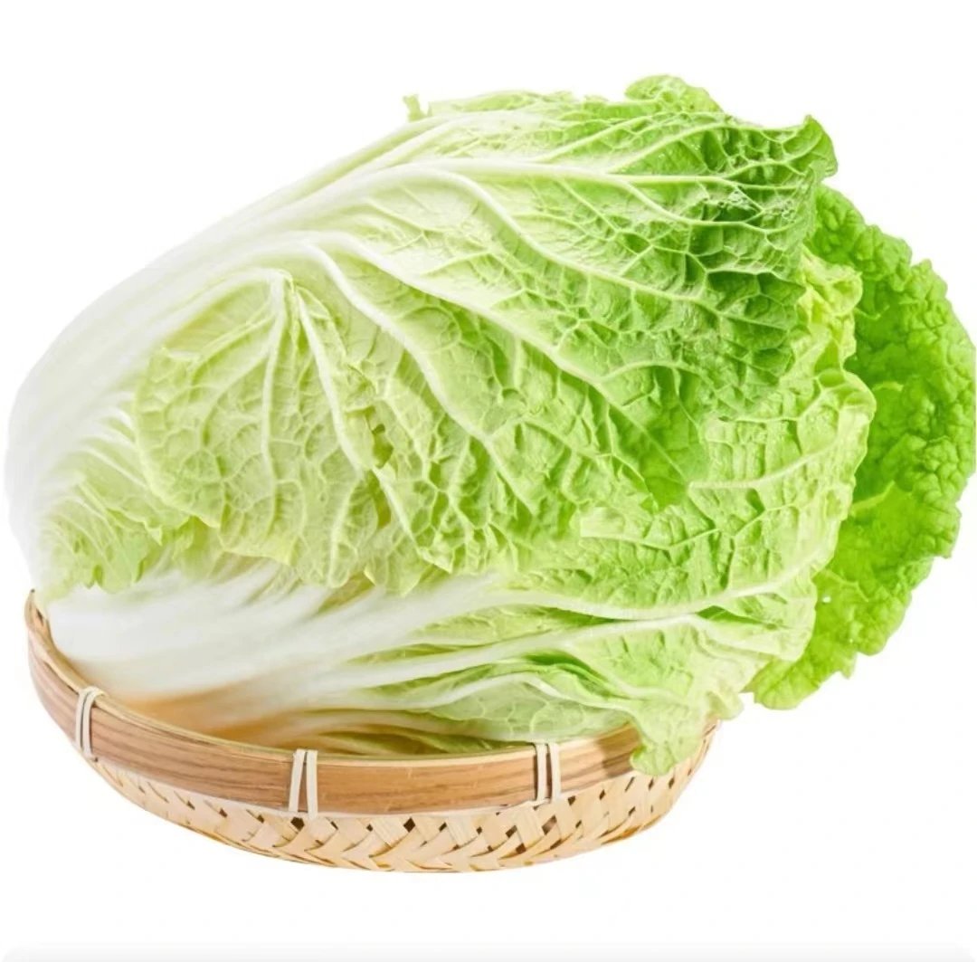 大白菜 约1500g