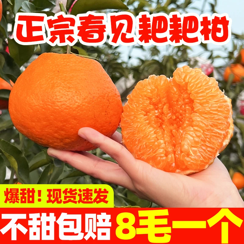 四川春见耙耙柑1-9斤整箱新鲜水果丑橘子沃柑皇帝柑砂糖橘产地发