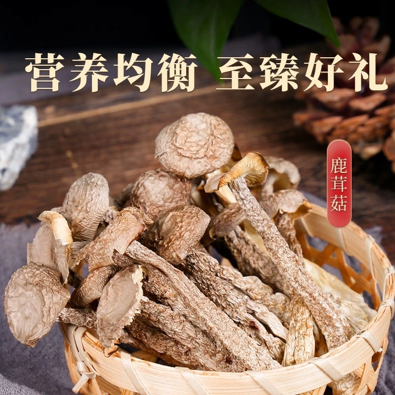 【精选】鹿茸菇干货1斤装特产新鲜菌菇羊肚菌煲汤鲜美批发20g包邮