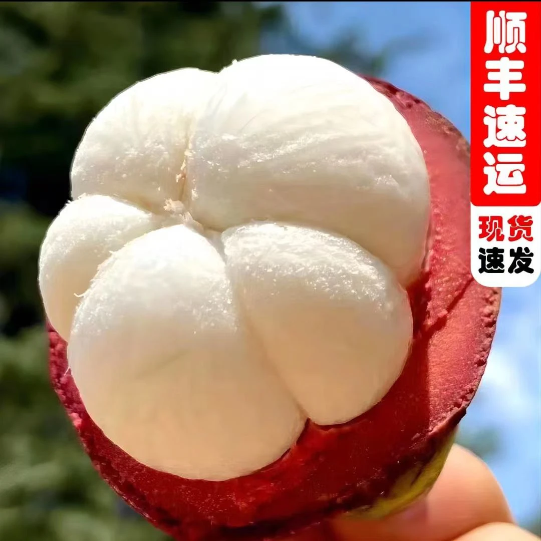 【买3斤送2斤,顺丰包邮】泰国进口山竹3A 麻竹3斤装