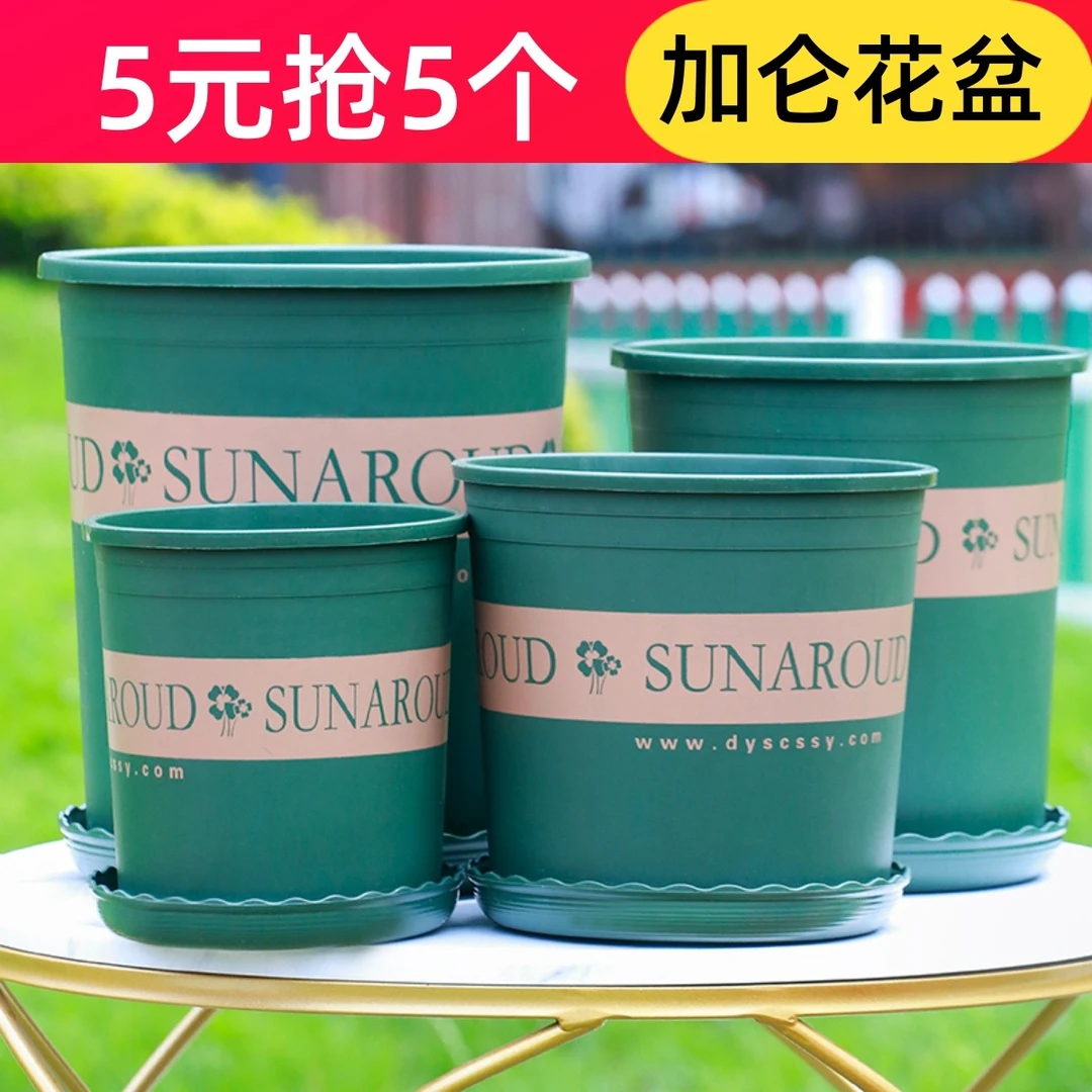 5元抢5个加仑花盆特大号绿萝盆栽加厚小花盆阳台月季玫瑰塑料花盆